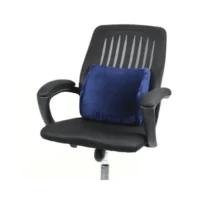 مسند أسفل الظهر ميمورى فوم